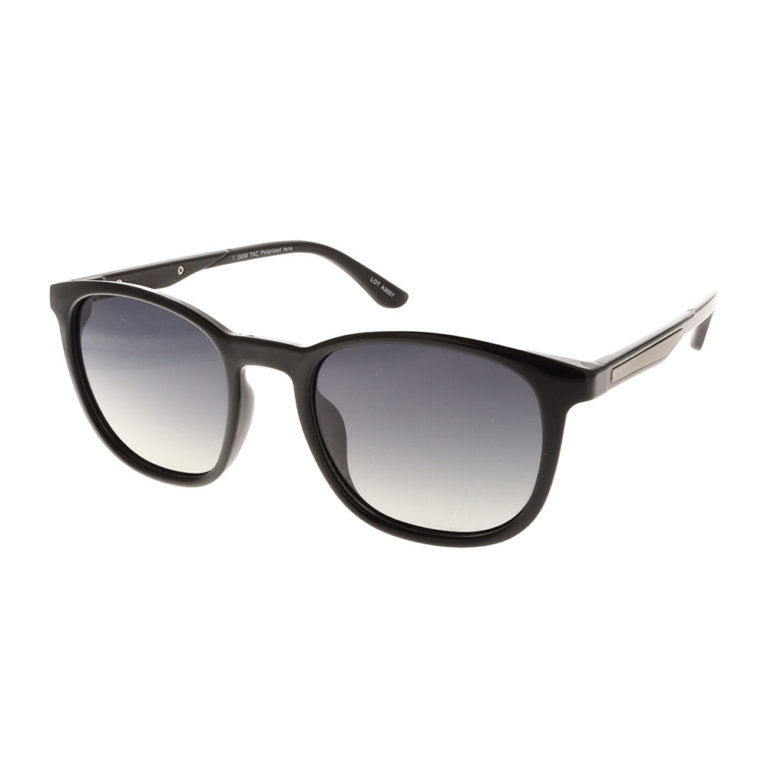POLARVIEW –PV604A