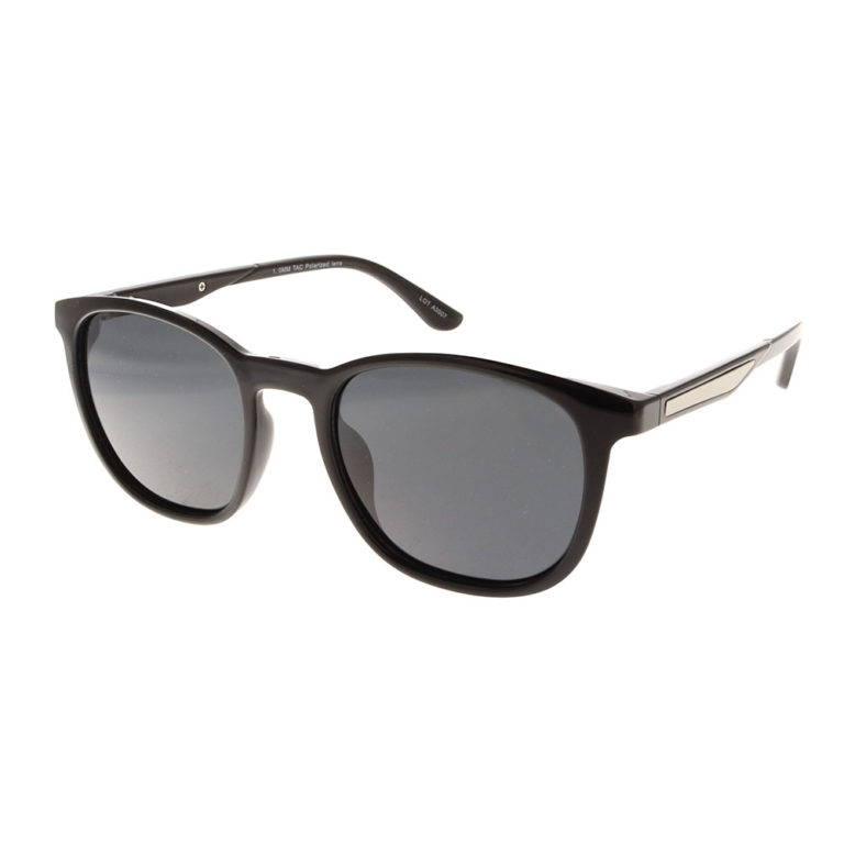 POLARVIEW –PV604B