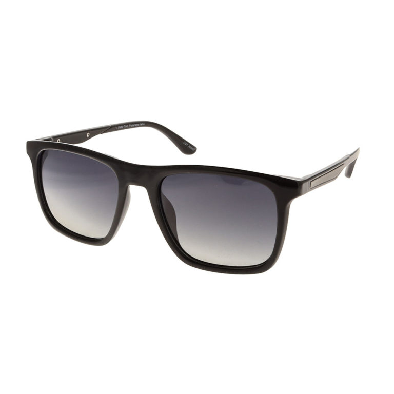 POLARVIEW –PV606A