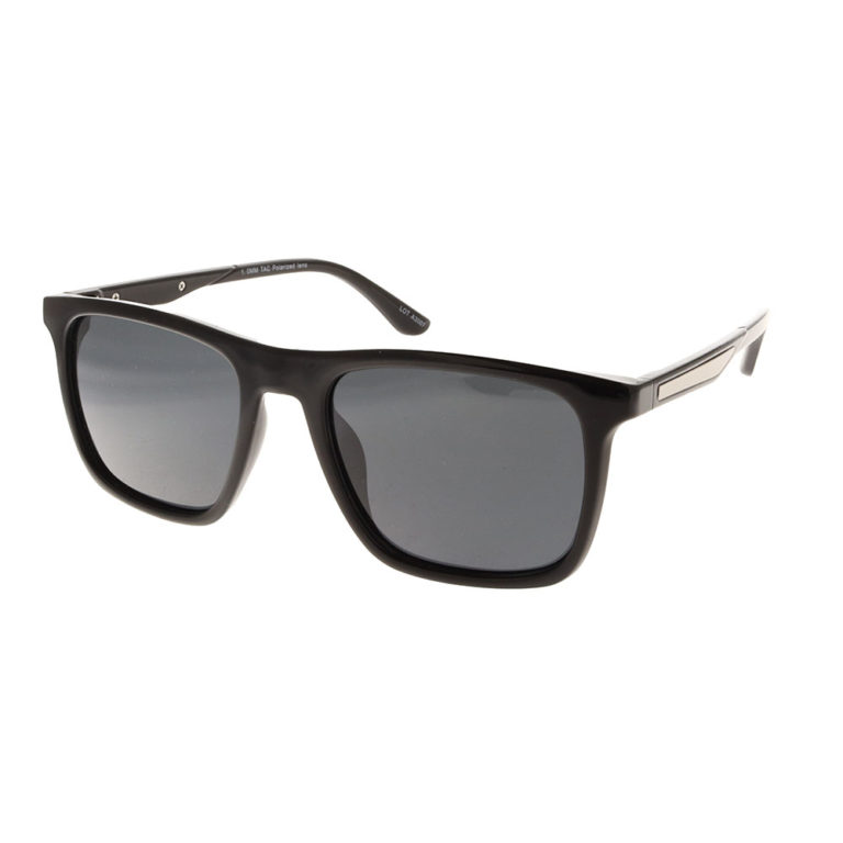 POLARVIEW –PV606B