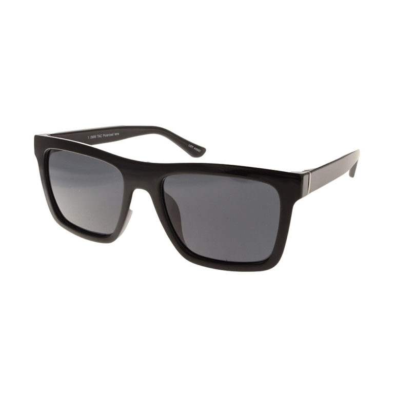 POLARVIEW – PV650A