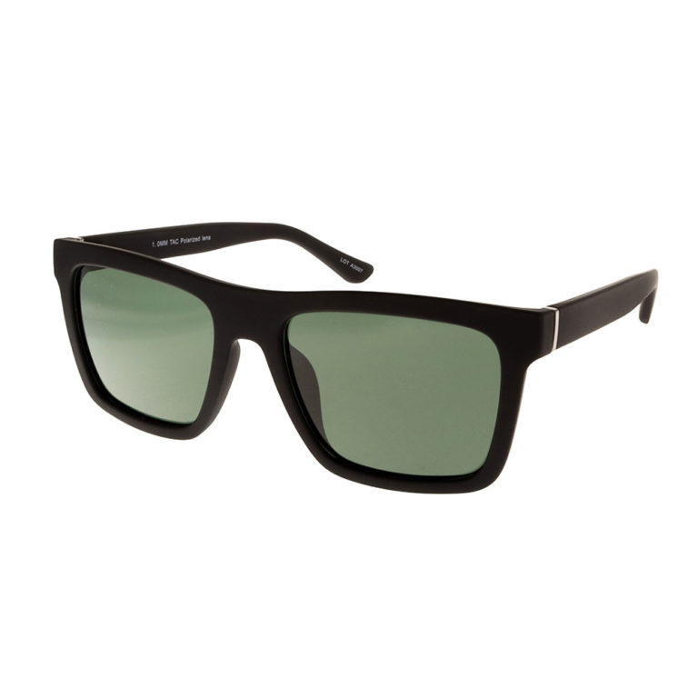 POLARVIEW – PV650A